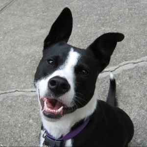 Meet your Posher, Catherine